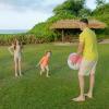 image:imageSwimZip Mens Swim Shorts with Boxer Brief Liner and UPF 50 Sun ProtectionGamified