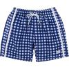 Navy Gingham