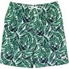 Palm Leaf