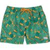 The Tropics