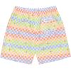 image:imageSwimZip Boys Swim Trunks with Boxer Brief Liner and UPF 50 Sun ProtectionGamified