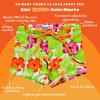 image:imageSwimZip Shorties  UPF 50 Swim Shorts  Baby Toddler and Kids  Boys or GirlsHibiscus