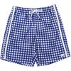 Navy Gingham