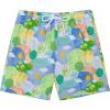 image:imageSwimZip Boys Swim Trunks with Boxer Brief Liner and UPF 50 Sun ProtectionSunshine