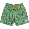 The Tropics