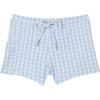 Blue Gingham