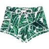 Palm Leaf