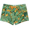The Tropics
