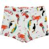 Tropical Birds