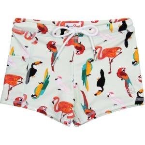 image:imageSwimZip Shorties  UPF 50 Swim Shorts  Baby Toddler and Kids  Boys or GirlsTropical Birds
