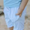 image:imageSwimZip Boys Short Sleeve Rash Guard amp Swim Shorts Set  UPF 50 Sun ProtectionBlue Gingham