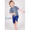 image:imageSwimZip Boys Short Sleeve Rash Guard amp Swim Shorts Set  UPF 50 Sun ProtectionFish Bone Blue
