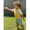 image:imageSwimZip Boys Short Sleeve Rash Guard amp Swim Shorts Set  UPF 50 Sun ProtectionLemons