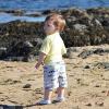 image:imageSwimZip Boys Short Sleeve Rash Guard amp Swim Shorts Set  UPF 50 Sun ProtectionShark Feast