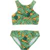 The Tropics