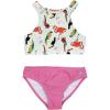 Tropical Birds
