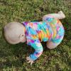 image:imageSwimZip UPF 50 Long Sleeve Rash Guard for Boys and Girls  Baby Toddler KidsImpressions